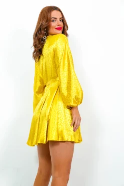 Not Today Satin - Chartreuse Jacquard Leopard Mini Dress -Glamoros Clothing Shop NotTodaySatin ChartreuseJacquardLeopardMiniDress 4 scaled